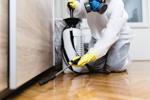 Reliable Green Cove Springs, FL Pest Control Solutions