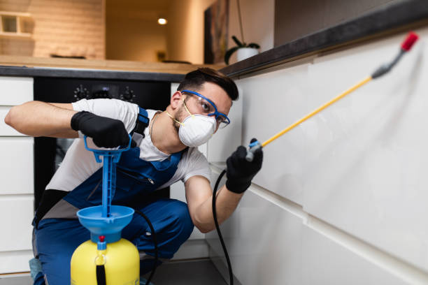 Best Pest Control Near Me in Green Cove Springs, FL