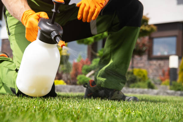 Best Rodent Control Near Me  in Green Cove Springs, FL