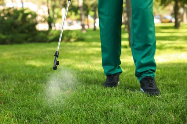 Best Wasp Removal Services  in Green Cove Springs, FL
