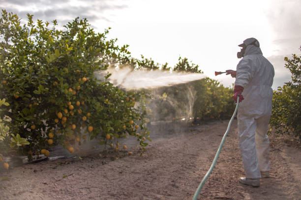 Best Bed Bug Extermination  in Green Cove Springs, FL
