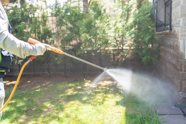 Best Affordable Pest Control Services  in Green Cove Springs, FL