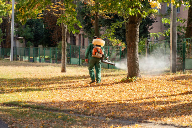 Best Wildlife Control Services  in Green Cove Springs, FL