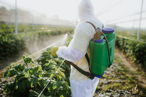 Best Pest Prevention Services  in Green Cove Springs, FL